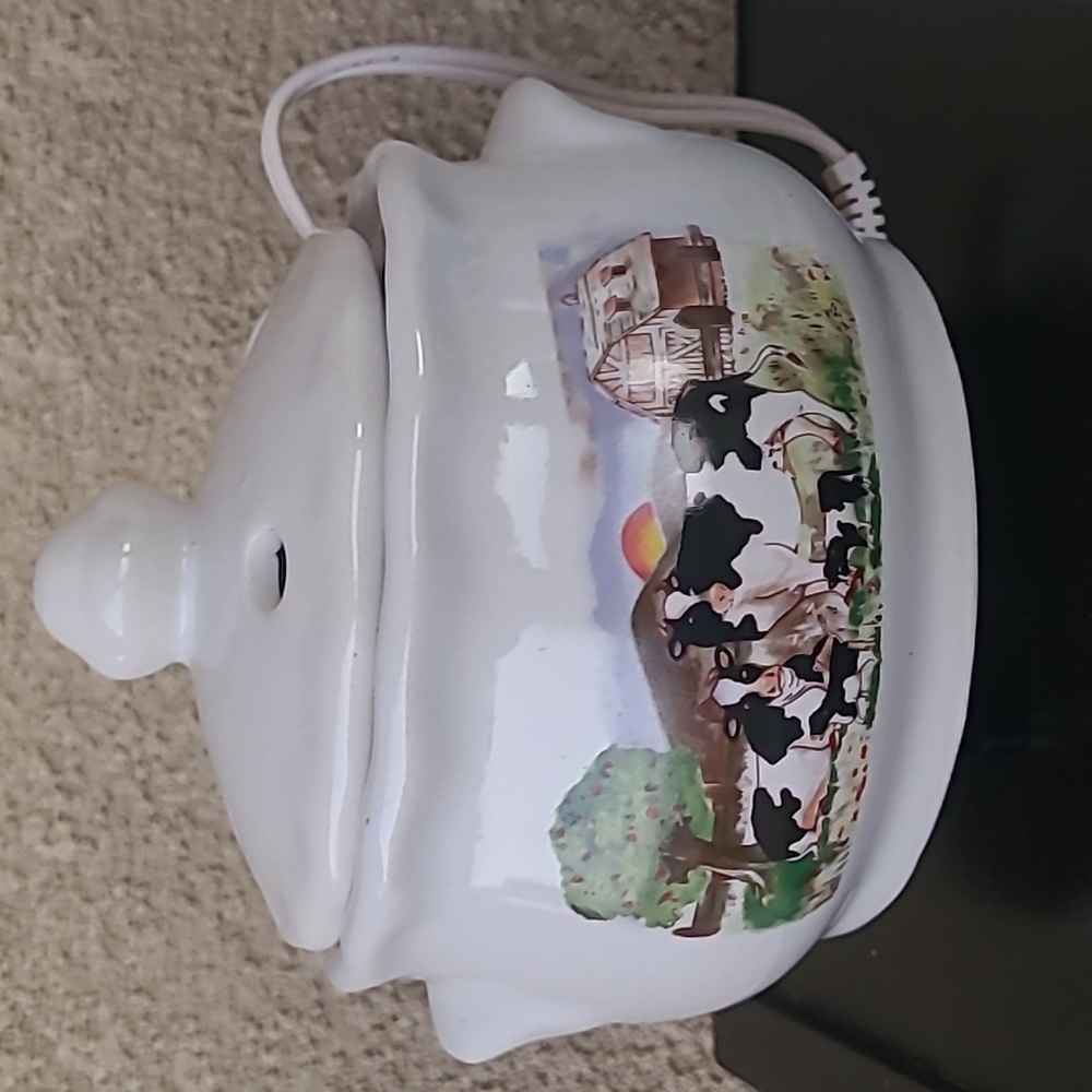 Scented wax warmer